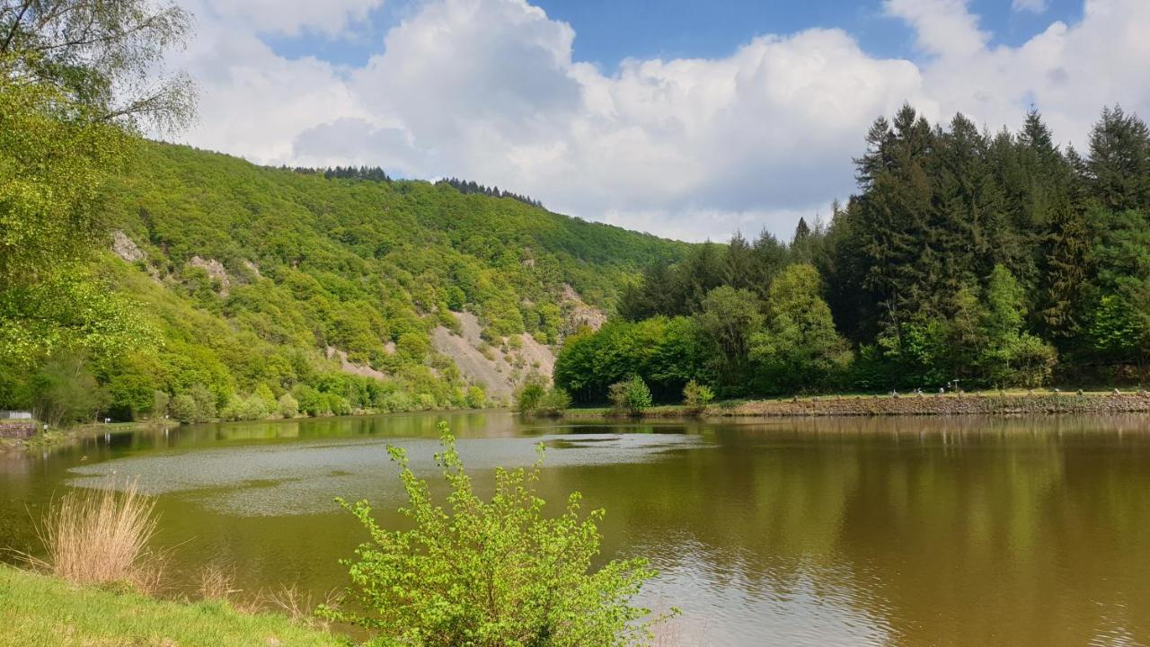 Ferienwohnung Am Saarweg 梅尔齐 外观 照片